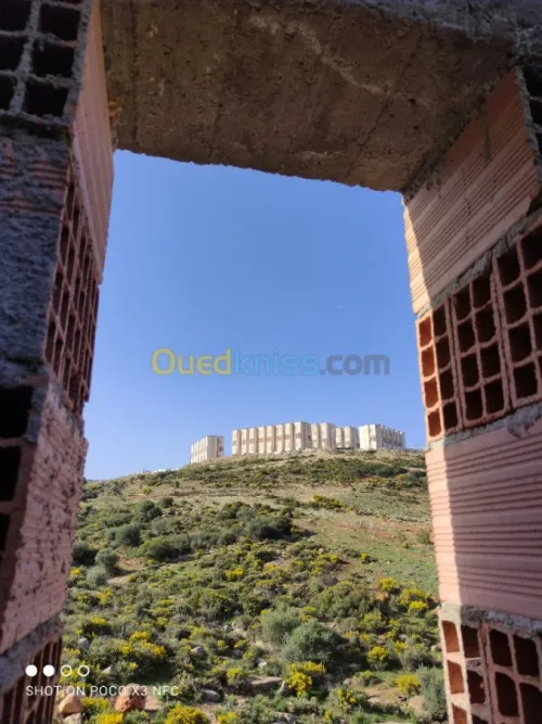 Vente Carcasse Tlemcen Mansourah
