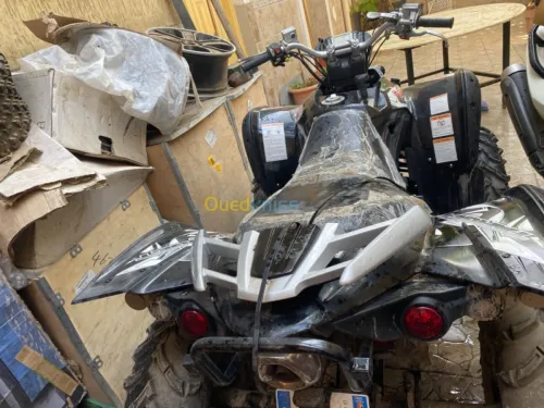Tgb 500r