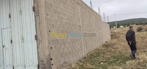 Vente Carcasse Khenchela El hamma