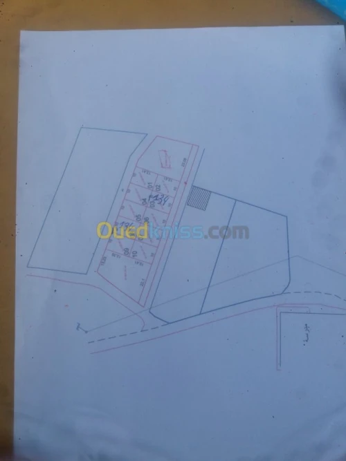 Vente Terrain Setif El eulma