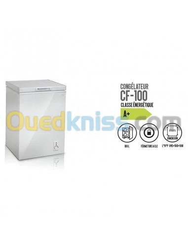 PROMO CONGELATEUR IRIS CF 100L 