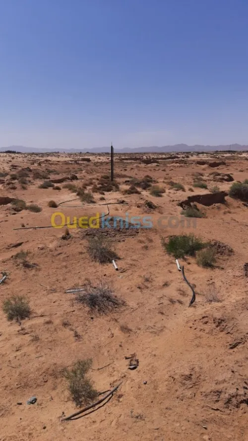 Vente Terrain Biskra El outaya