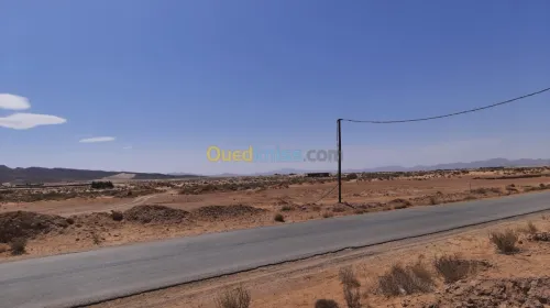 Vente Terrain Biskra El outaya