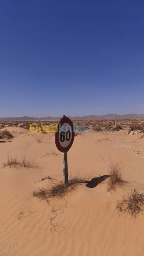 Vente Terrain Biskra El outaya