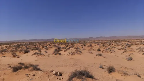 Vente Terrain Biskra El outaya