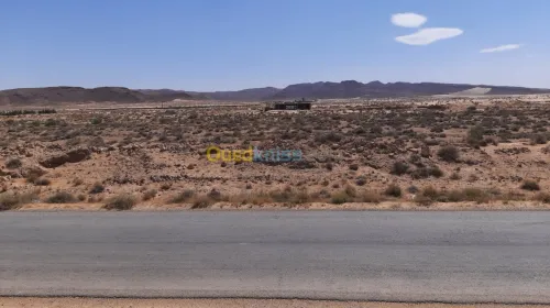 Vente Terrain Biskra El outaya