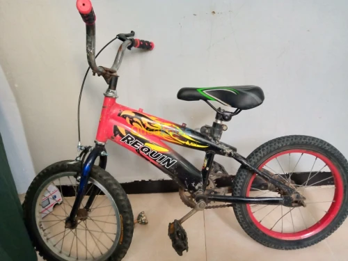 Velo