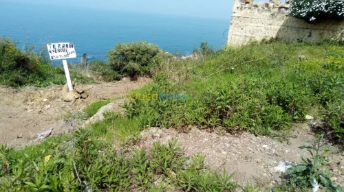 Vente Terrain Bejaia Bejaia