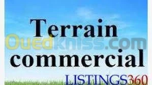 Vente Terrain Blida Bougara