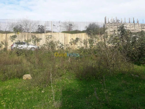 Vente Terrain Alger Khraissia