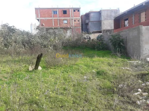 Vente Terrain Alger Khraissia