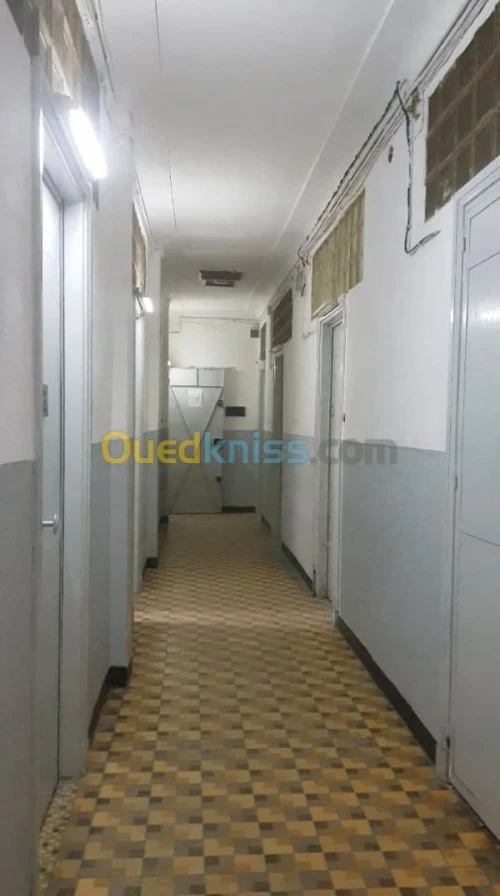 Location Studio Alger Alger centre