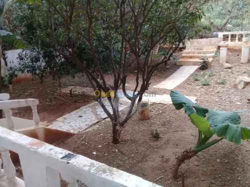 Vente Niveau De Villa F7 Alger Hammamet