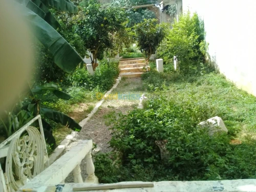 Vente Niveau De Villa F7 Alger Hammamet