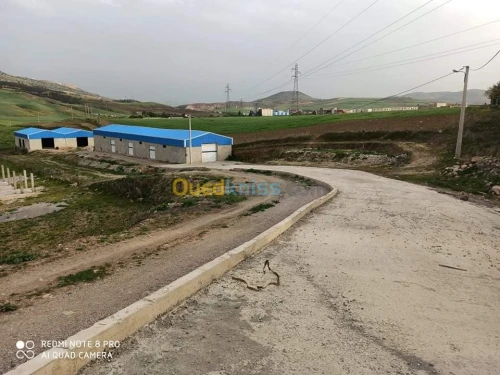Location Hangar Constantine Ain smara