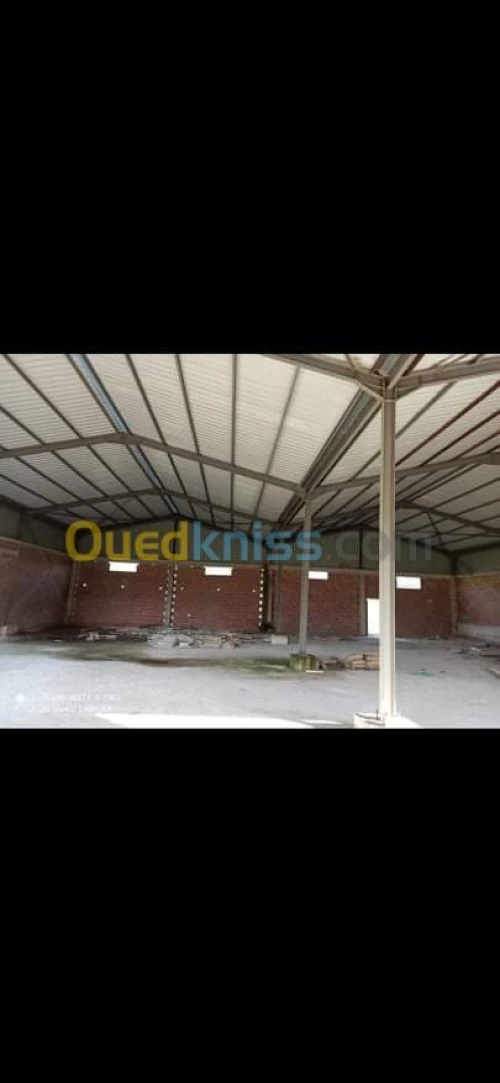 Location Hangar Constantine Ain smara