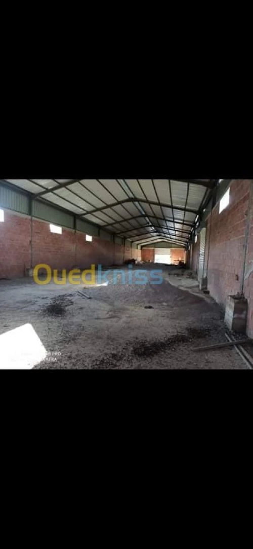 Location Hangar Constantine Ain smara