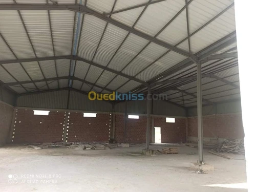 Location Hangar Constantine Ain smara
