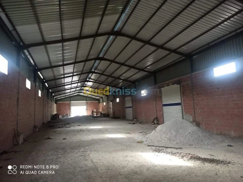 Location Hangar Constantine Ain smara