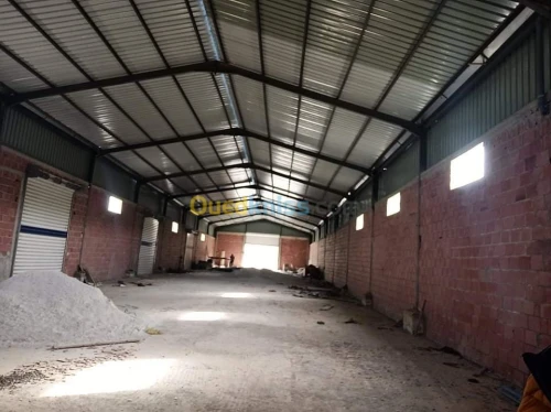 Location Hangar Constantine Ain smara