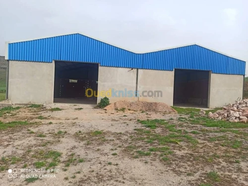 Location Hangar Constantine Ain smara