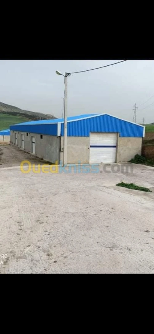 Location Hangar Constantine Ain smara