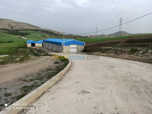 Location Hangar Constantine Ain smara
