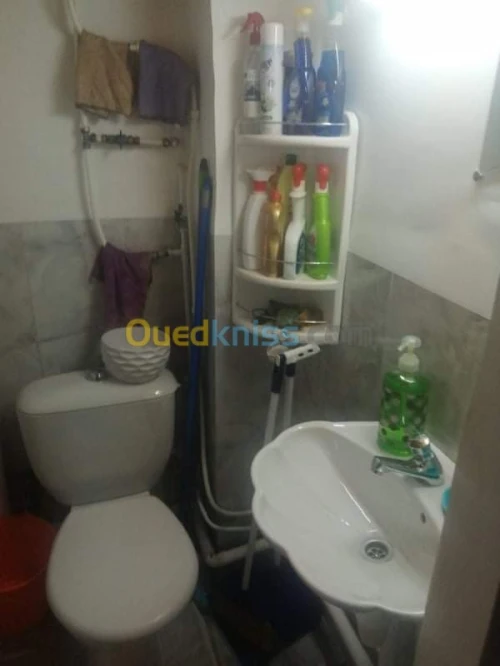 Location Local Alger Said hamdine
