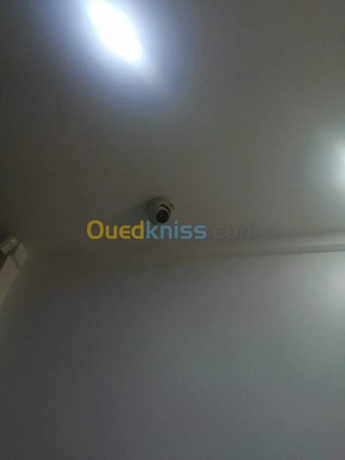 Location Local Alger Said hamdine