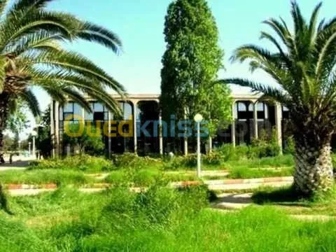  من وزارة السكن مهندس مدني ب إعتماد 