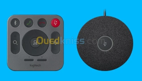 Caméra LOGITECH RALLY PLUS