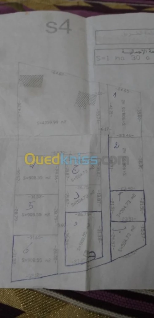 Vente Terrain Setif El eulma