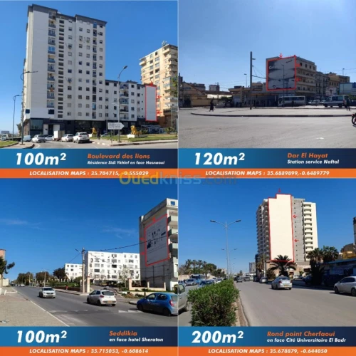 Location bien immobilier Oran Oran