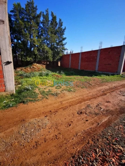 Vente Terrain Alger Douera