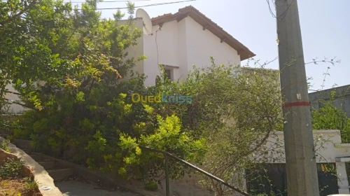 Vente Villa Alger El mouradia