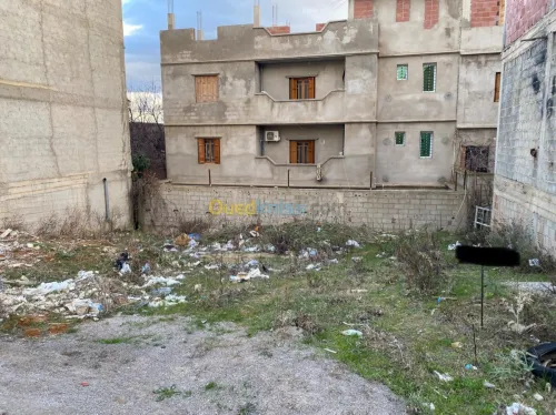 Vente Terrain Constantine Constantine