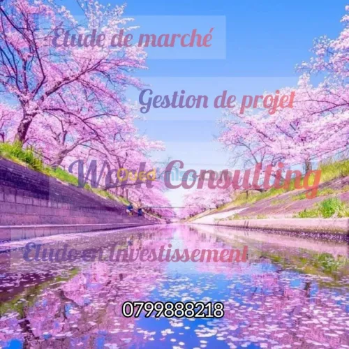 انشاء مؤسسة فى الجزائر 