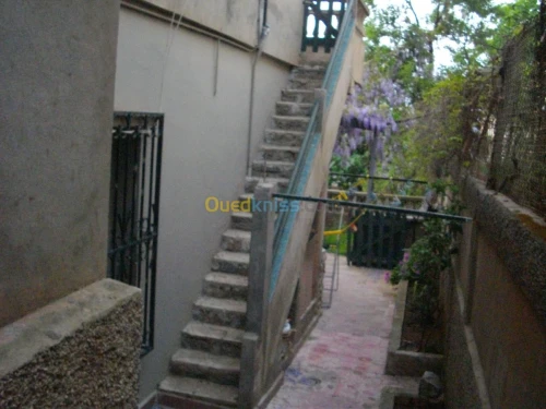 Vente Villa Alger Hammamet