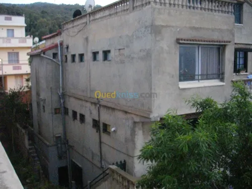 Vente Villa Alger Hammamet
