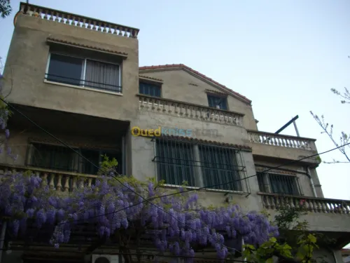 Vente Villa Alger Hammamet
