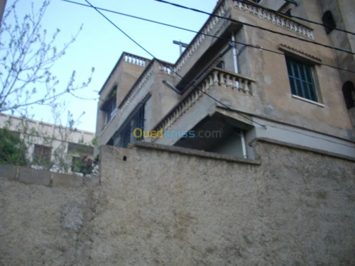 Vente Villa Alger Hammamet