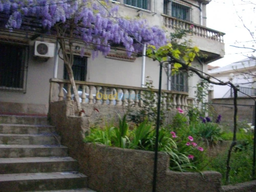 Vente Villa Alger Hammamet