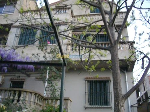 Vente Villa Alger Hammamet