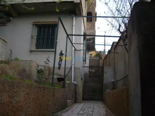 Vente Villa Alger Hammamet