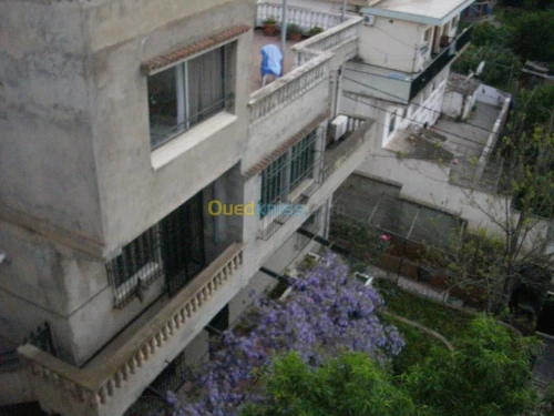 Vente Villa Alger Hammamet