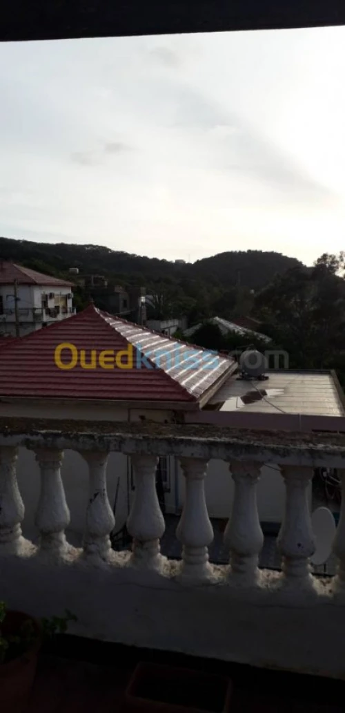 Vente Villa Alger Hammamet