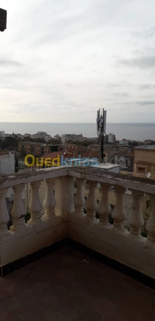 Vente Villa Alger Hammamet
