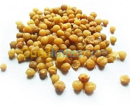 Ventes de graines de NOCCINILE