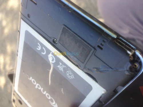Condor Plume P8