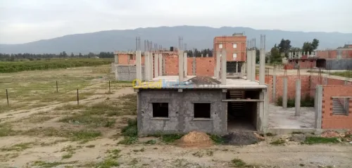 Vente Terrain Blida Boufarik
